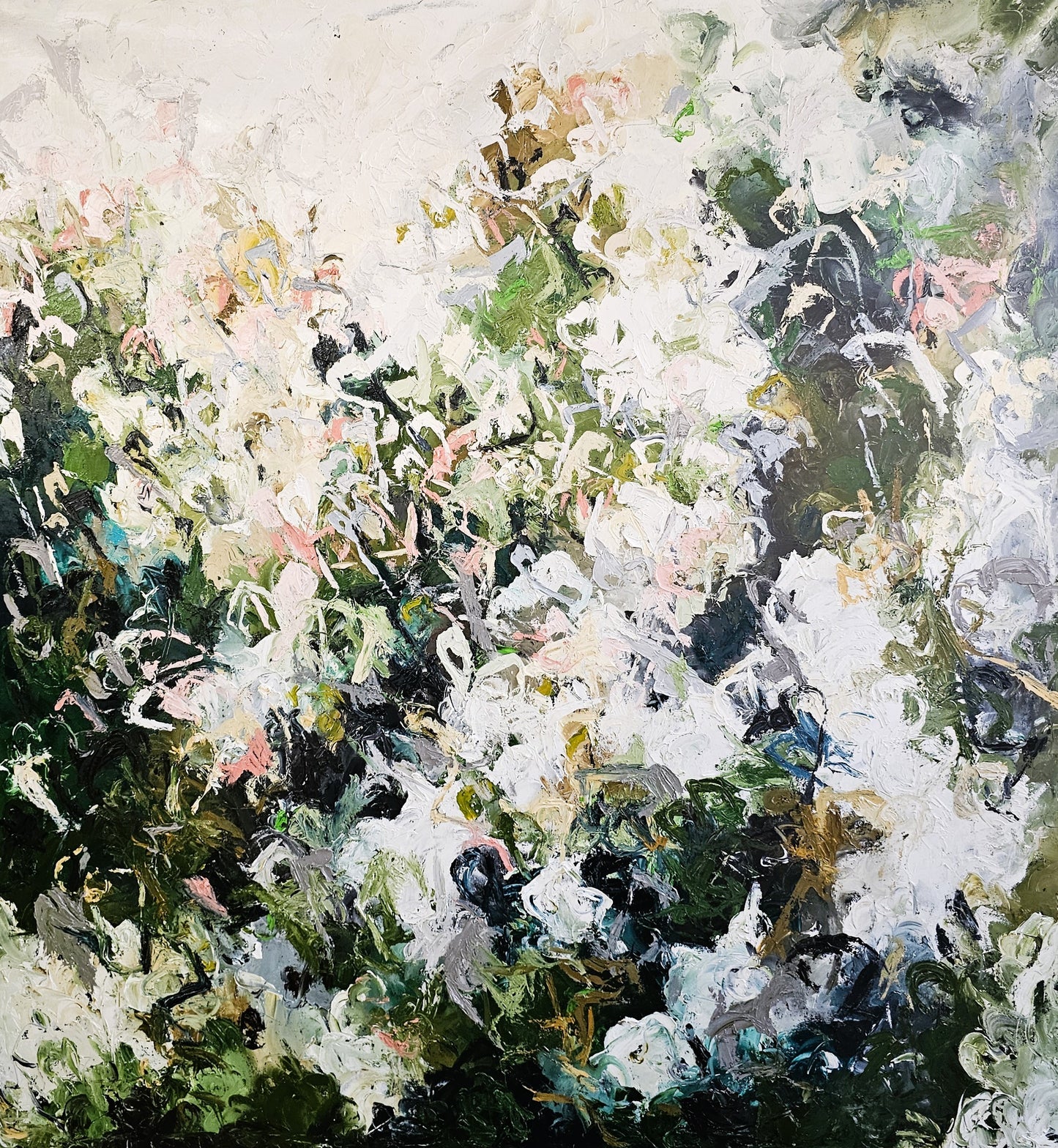 The Garden Where Rabbits Dream