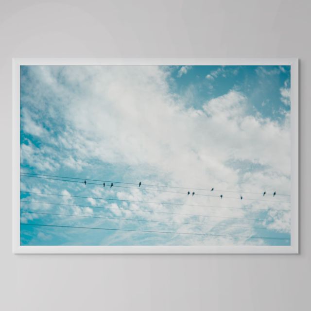 Birds on a Wire