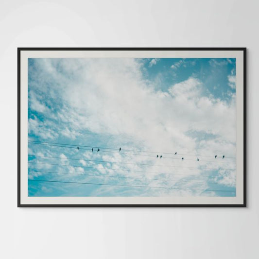 Birds on a Wire